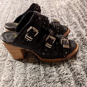 Freebird by Steven Caitlyn